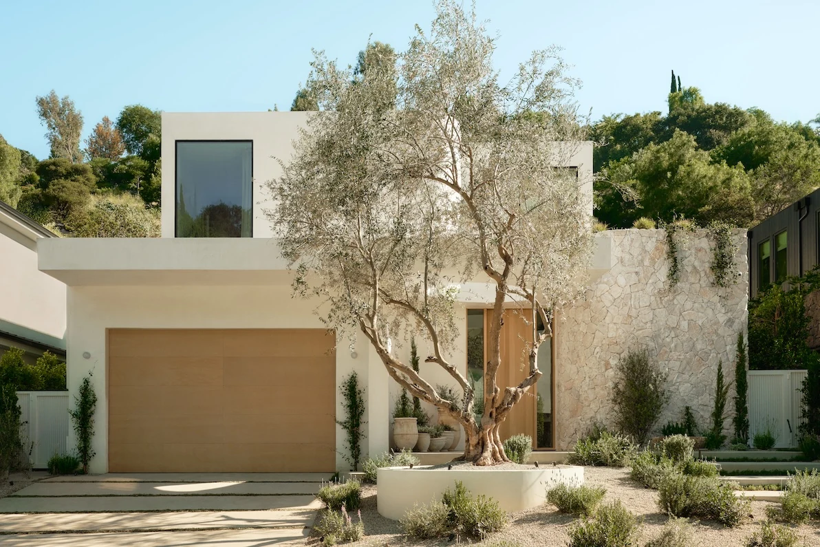 Aether House: The Studio City Home With a Living Tree at Its Heart